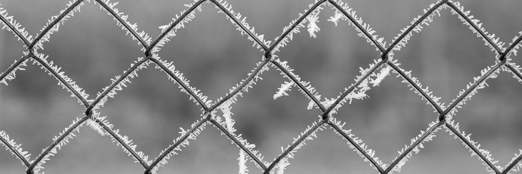 Rperucho fence 8500152 1920